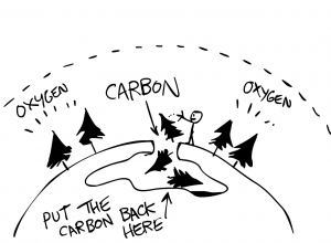 Figure 5: Put the carbon back in the earth