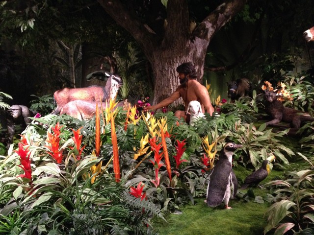 The garden of eden was home to penguins...