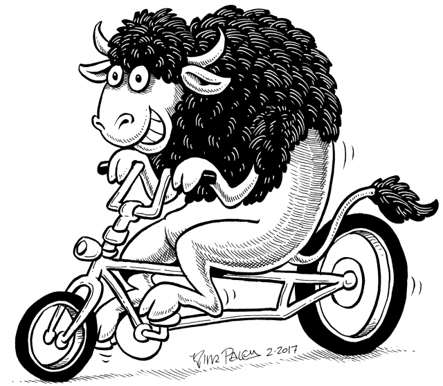 Bicyclin' Bison